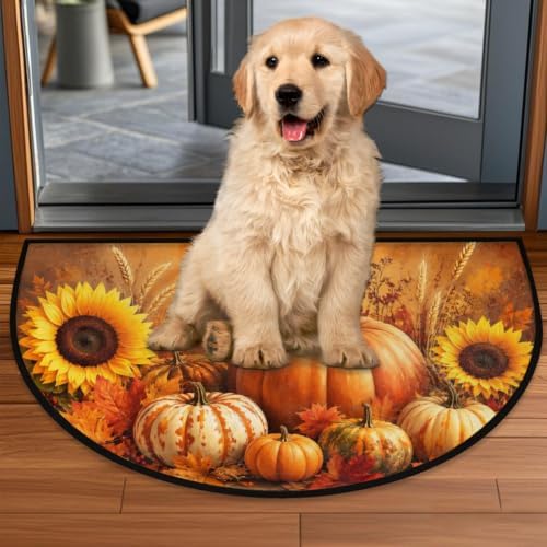 Autumn Pumpkin Half Round Door Mat Welcome Entrance Rug Outdoor Indoor