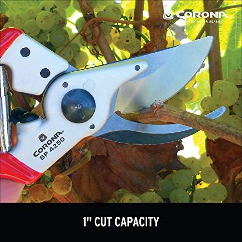 Corona BP 4250 Forged Steel Aluminum Handles Bypass Hand Pruner - 1 inch Cut Capacity Stem and Branch Garden Shears, Red (Pack of 6)
