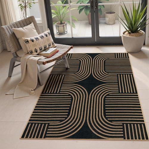 Lahome Modern Black Rug for Bedroom Living Room, 3x5 Outdoor Entryway Rug