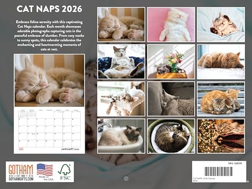 Cat Naps Calendar 2026 Monthly Wall Calender 12 Month | American Made In The USA
