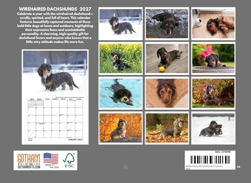 Wirehaired Dachshund Calendar 2027 Monthly Wall Calender 12 Month