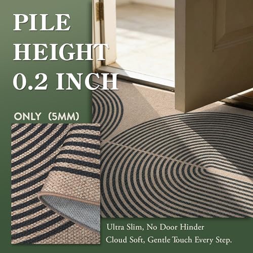 Lahome Modern Rainbow Easy Jute Rug, 3x5 Washable Rugs for Entryway Farmhouse Black Patio Carpet, Non Slip Indoor Door Mat Contemporary Outdoor Porch Carpet for Laundry Guestroom Room Decor