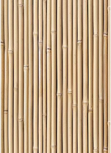 Teacher Created Resources Better Than Paper Bulletin Board Roll, 4' X 12', Bamboo, 4/Pack (Tcr32439)