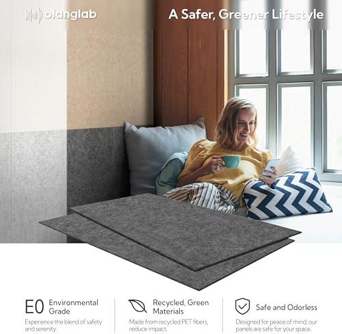 Olanglab Acoustic Wall Panels, 10 Pack, 48" x 24", Plain Dark Gray