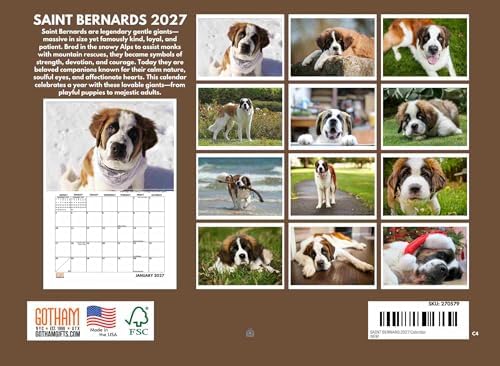 Saint Bernard Calendar 2027 Monthly Wall Calender 12 Month