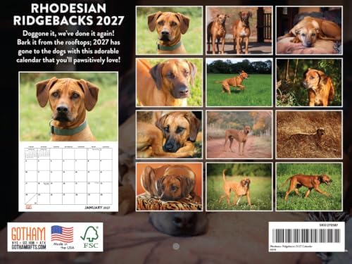 Rhodesian Ridgeback Calendar 2027 Monthly Wall Calender 12 Month