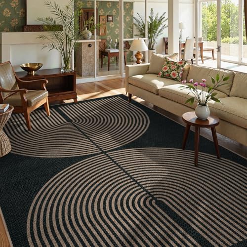 Lahome Modern Rainbow Easy Jute Rug, Washable Rugs 8x10 for Living Room