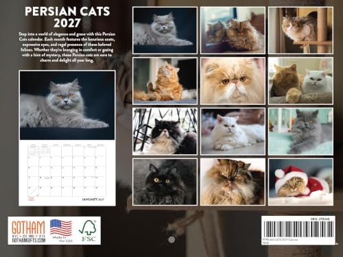 Persian Cat Calendar 2027 Monthly Wall Calender 12 Month