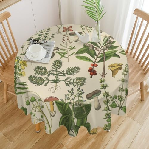 Vintage Botanical Tablecloth, Antique 1900s Mushroom Boho Wildflower Green Herbs Ferns Farmhouse Table Cover for Party Picnic Dinner Decor, 60x60in