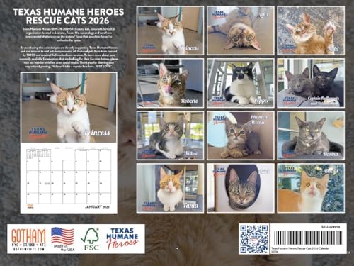 Rescue Cat Calendar 2026 Monthly Wall Calender 12 Month | American Made In The USA