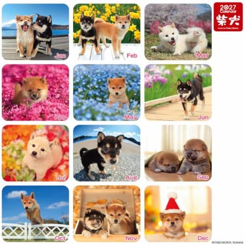 Shiba Inu Desktop Calendar 2026–2027 Set Cute Puppy Photos Japanese Scenery