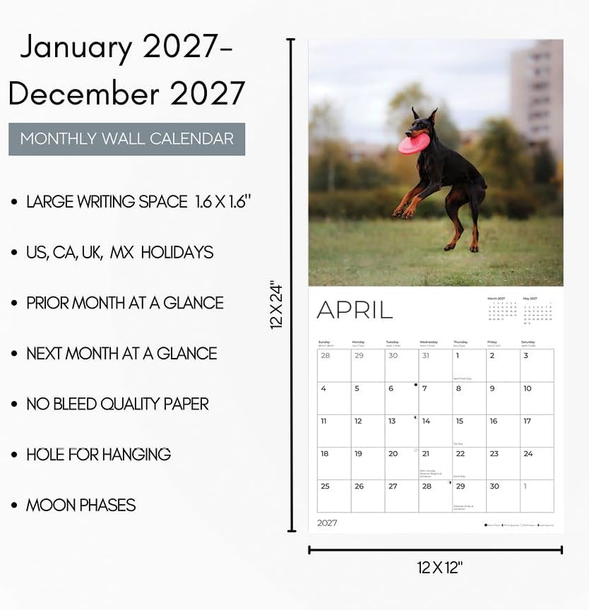 Doberman Pinschers 2027 Wall Calendar, 12 x 24 Hanging Pacific Waters Press