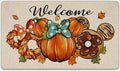 Welcome Pumpkin Decorative Front Door Mat, Autumn Wreath Doughnut