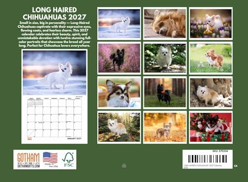 Long Haired Chihuahua Calendar 2027 Monthly Wall Calender 12 Month