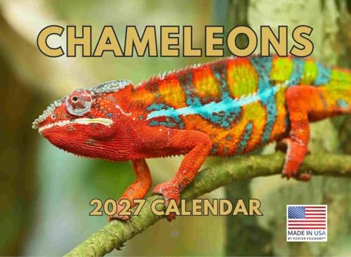 Chameleon Calendar 2027 Monthly Wall Calender 12 Month