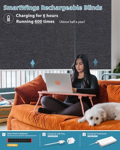 SmartWings Motorized Smart Roller Shades, 100% Blackout Eclipse Raven Black