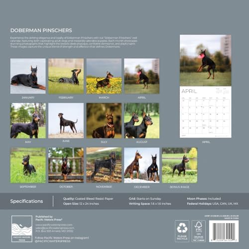 Doberman Pinschers 2027 Wall Calendar, 12 x 24 Hanging Pacific Waters Press