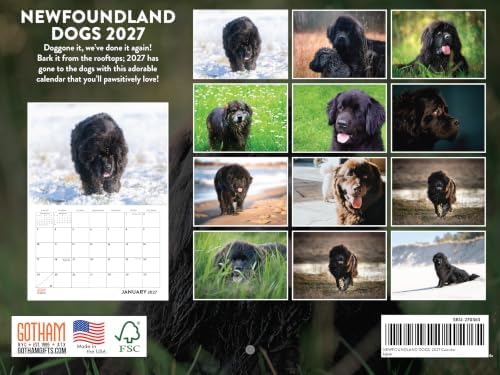 Newfoundland Calendar 2027 Newfie Monthly Wall Calender 12 Month