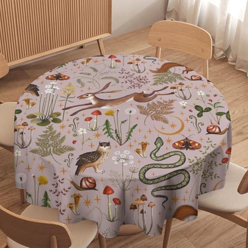 Rustic Forest Tablecloth, Pink Woodland Wild Animal Hare Squirrel Owl Snail Flowers Mushroom Table Cloth for Home Kitchen Dining Outdoor Patio Wedding Decor, 60x60in