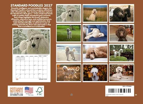 Standard Poodle Calendar 2027 Monthly Wall Calender 12 Month