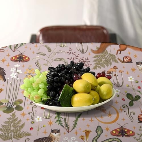 Rustic Forest Tablecloth, Pink Woodland Wild Animal Hare Squirrel Owl Snail Flowers Mushroom Table Cloth for Home Kitchen Dining Outdoor Patio Wedding Decor 55x75in
