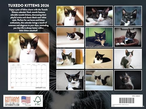 Tuxedo Kitten Calendar 2026 Monthly Wall Calender 12 Month | American Made In The USA