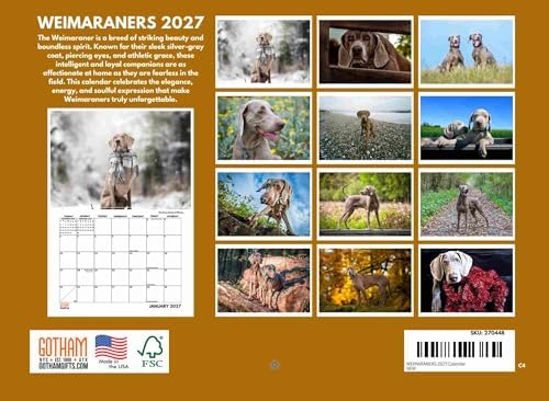 Weimaraner Calendar 2027 Monthly Wall Calender 12 Month