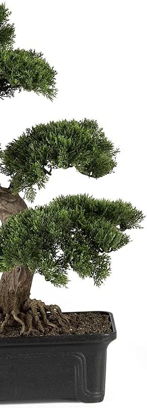 Nearly Natural 4103 24in. Cedar Bonsai Silk Plant,Green | Exposed-Root System, Artfully Trimmed Bonsai Replica, Rectangular Shaped Planter, Maintenance-Free Office Accent