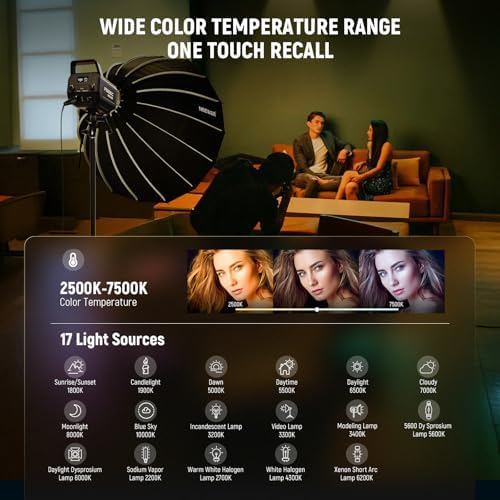 NEEWER FS300C 300W RGB LED Video Light with App/2.4G Control