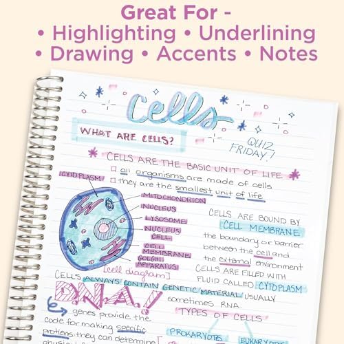 Zebra Pen MILDLINER Highlighter, Midnight Hibiscus Colors, Dual Tip, 5-Pack