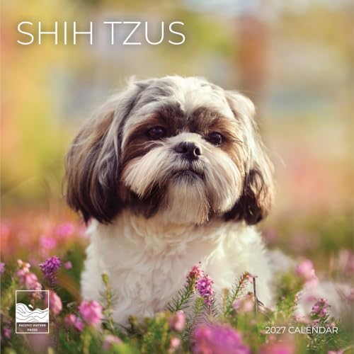 Shih Tzus 2027 Wall Calendar, 12 x 24 Hanging Pacific Waters Press