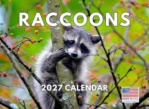 Raccoon Calendar 2027 Monthly Wall Calender 12 Month