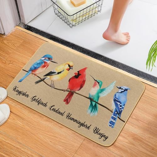 Percozzi Bird Kitchen mats Set of 2, Robin Cadinal Door mat Indoor Outdoor Rug, Hummingbirds Cardinal Kitchen Floor Mat Decor 17x29 and 17x47 Inch