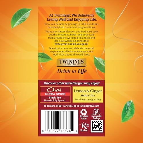 Twinings Chai Spiced Black Tea Bags, 20 CT Box (6 Pack)