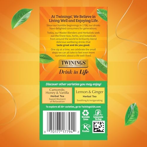 Twinings Decaffeinated Green Tea Individually Wrapped Bags, 20 Count (Pack of 1), Smooth Flavour, Enticing Aroma, Enjoy Hot or Iced, 20 Teabags