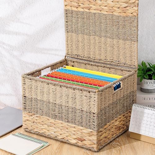 Cinnvoice Extra Large Decorative File Box 18 x 16 x 13 in Wicker Seagrass File Basket Organizer for Letter Legal Size Hand Woven Hanging Filing Cabinet with Lid for Office Water Hyacinth, Tricolor
