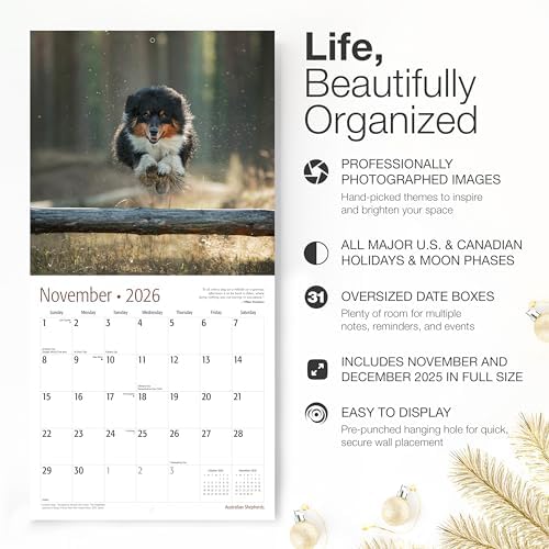 RED EMBER Australian Shepherds Aussies 2026 Wall Calendar 12 Month | 12" x 24" Open | Thick & Sturdy Paper | Giftable | Cute Puppy Dog Calendar 2026