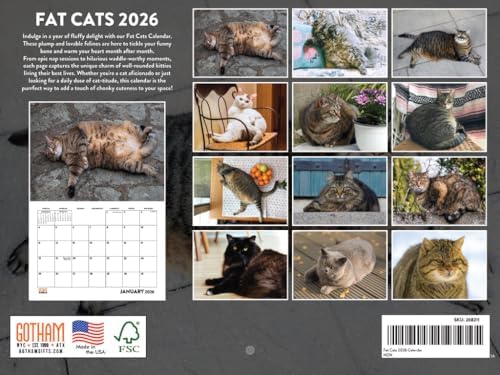 Fat Cat Calendar 2026 Monthly Wall Calender 12 Month | American Made In The USA