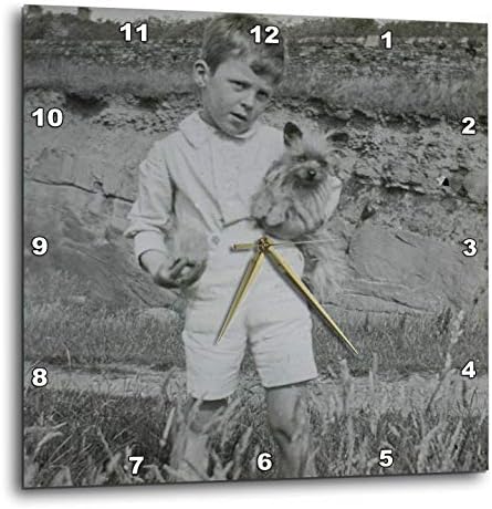 3dRose Wall Clock Silent - 15 inch - 1890 Young Boy with Cairn Terrier Puppy Vintage - Magic Lantern Slides
