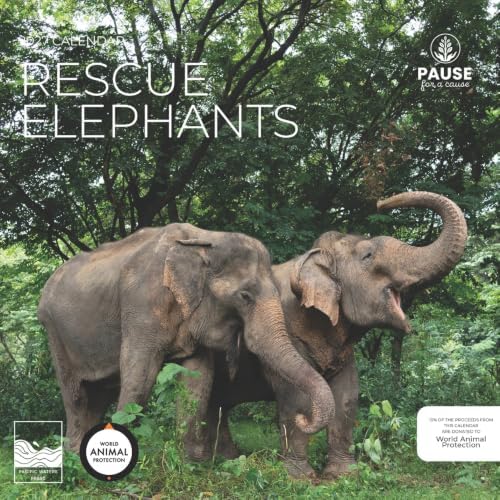 2027 Rescue Elephant Wall Calendar, 12 x 24 Hanging Pacific Waters Press