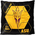 Northwest NCAA Unisex-Adult Velvet Pillow