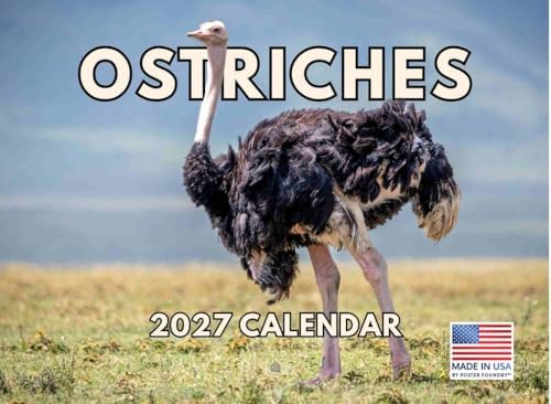 Ostrich Calendar 2027 Monthly Wall Calender 12 Month
