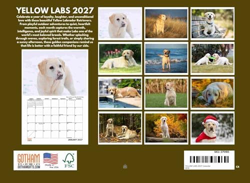 Yellow Lab Calendar 2027 Labrador Monthly Wall Calender 12 Month