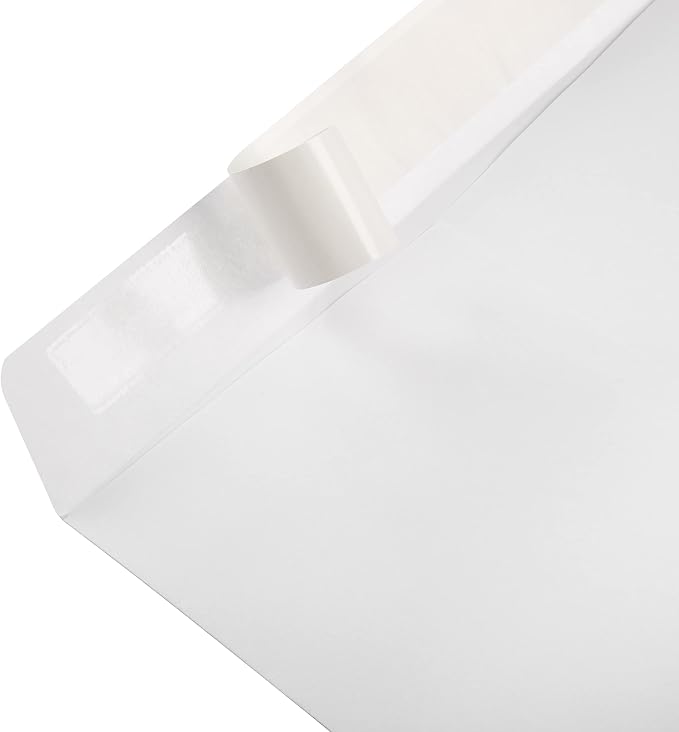 Amazon Basics Catalog Mailing Envelopes, Peel and Seal, 10 x 13 Inch, White, 100-Pack