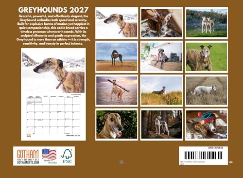 Greyhound Calendar 2027 Monthly Wall Calender 12 Month