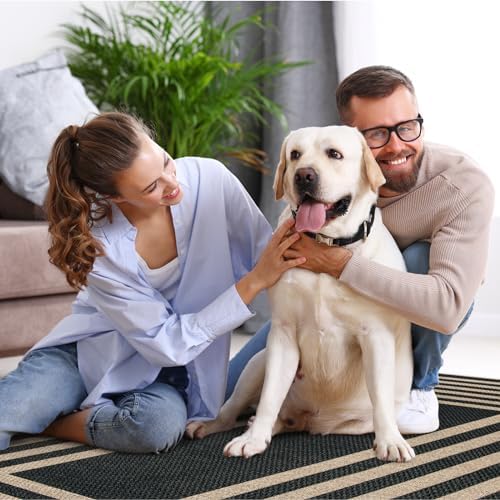 Lahome Modern Geometric Easy Jute Outdoor Rug, 5x7 Patio Living Room Rug