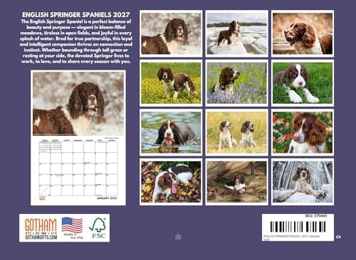 English Springer Spaniel Calendar 2027 Monthly Wall Calender 12 Month