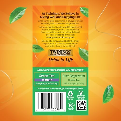 Twinings Green Tea with Mint Individually Wrapped Bags, 20 Count (Pack of 6), Invigorating Aroma, Caffeinated, Enjoy Hot or Iced, 120 Teabags