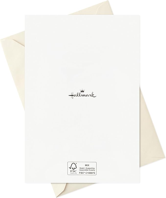 Hallmark Bulk Christmas Cards with Envelopes, 72-Pack (Merry and Bright)