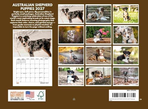 Australian Shepherd Puppy Calendar 2027 Monthly Wall Calender 12 Month